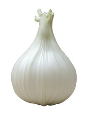 A White Onion with a Distinctive Pattern of Ridges and a Green Stem