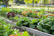 © ivlianna - Perennial vegetable garden in urban community centers, promoting food security.A beautiful garden filled with a variety of blooming vegetables and flowers