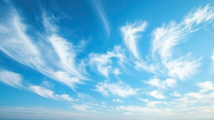 Wall Mural - A sky filled with soft, wispy cirrus clouds on a bright day, creating a delicate and airy atmosphere.