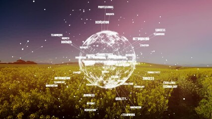 Poster - Global business keywords animation over agricultural field with network connections