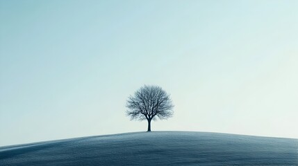 Poster - Minimalist landscape photography of a lone tree silhouetted against a peaceful tranquil sky with ample copy space or text area for your design or advertising needs