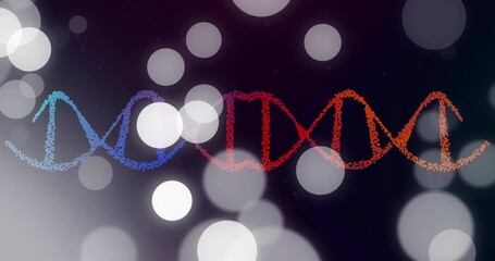 Poster - Animating DNA strand with bokeh lights on dark background