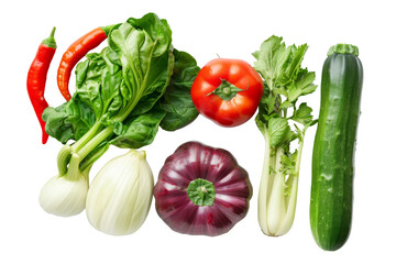 Set of Garden Vegetable from top view including chili, tomato, cucumber and other isolated on background, healthy herb and spice plant ingredients.