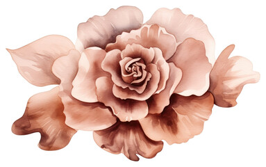 Sticker - PNG Rose flower petal plant.