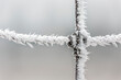 © Designpics - Extreme close up of spiked frost on a barbed wire fence; Calgary, Alberta, Canada