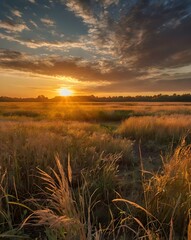 Wall Mural - sunset over the river