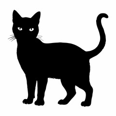  Cat Silhouette | Cat SVG Cat Cut Files | Cat Svg | Kitten Svg | Cat Vector CATS Bundle SVG, Cut Files for Cricut, Cats Clipart, Kitten Svg