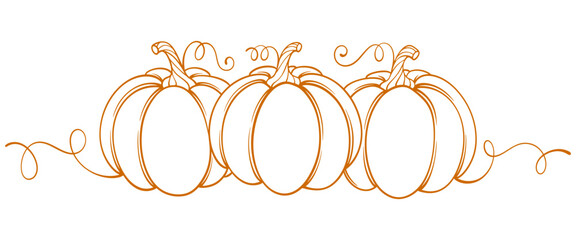 Wall Mural - Pumpkin thanksgiving element vector illustration	