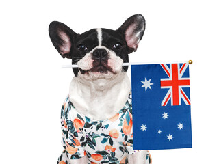 Wall Mural - Charming puppy and Australian Flag. Close-up, indoors. Studio shot. Congratulations for family, loved ones, relatives, friends and colleagues. Pet care concept