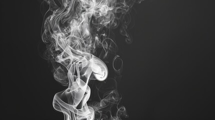 Leinwandbilder - White smoke twisting upwards, black background, space for copy