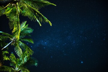 Wall Mural - plenty of stars and the milky way above coconut palm trees. fiji nighttime beach scene. stunning nig