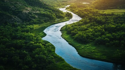 Wall Mural - Aerial View of a Winding River through Lush Green Forest