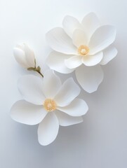 A close-up of two white magnolia blossoms, crafted in intricate relief, symbolizing purity, elegance, new beginnings, spring, and nature's artistry.