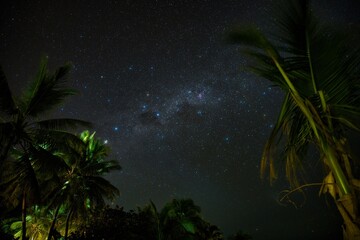 Wall Mural - the beautiful stars and night sky over some palm trees on a small island. milky way and stars are ou