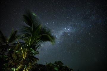 Wall Mural - the milky way above coconut palm trees on a small island of fiji. fiji nighttime beach scene. stunni