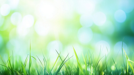 Wall Mural - spring background with grass