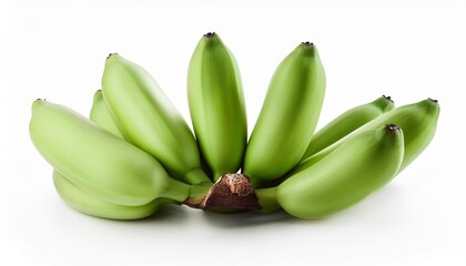 Wall Mural - real green unripe cluster of banana isolated on white