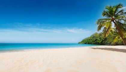 Wall Mural - tropical beach with fine sand some palms near calm sea with clear sky above empty copy space template for vacation or holiday product generative ai