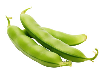 Sticker - PNG A green pea vegetable plant food.