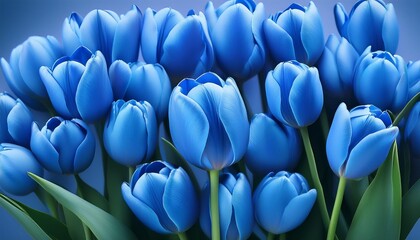 Wall Mural - blue tulips wallpaper background