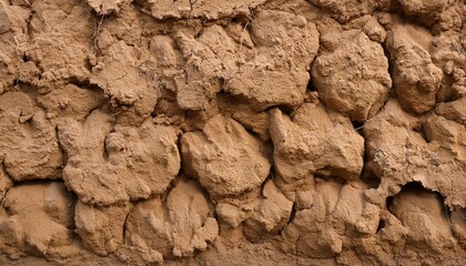 Wall Mural - closeup shot of a mud wall texture