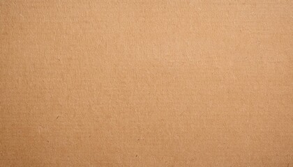 Canvas Print - brown paper texture background