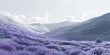 © Lila Patel - An ethereal landscape of lavenders and grays, evoking a dreamlike quality, spreading across a European hillside.