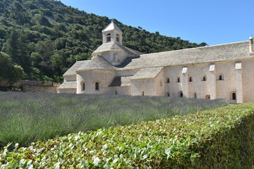 Sénanque Abbey is a Cistercian structure located a few kilometers from the urban center of Gordes in the Vaucluse department in Provence, France. Sénanque is the fourth Cistercian abbey in Provence