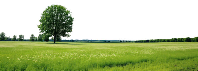 png summer weather landscape outdoors horizon.