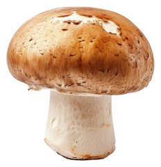 Poster - PNG Button mushroom vegetable fungus agaric.