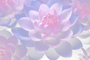 Sticker - PNG Lotus blossom flower dahlia.