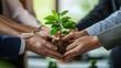© Maftukhul - Hand stacked ecosystem human relationships collaboration partners hands together sustainability organization. Green ecosystem company union partners team with hands together holding eco green plant