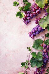 Background template with copy space  of grape leaf and  vine