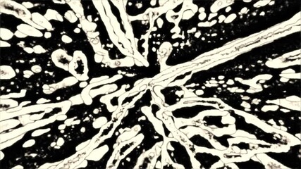 Poster - abstract art as fluid lines and bold patterns come to life in a dynamic black and white display, inviting viewers to interpret the shapes