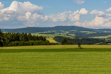 Wall Mural - Rural landscape near Letohrad, Czech Republic