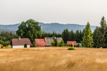 Wall Mural - Houses of Vjadacka settlement in Beskydy mountains, Czech Republic