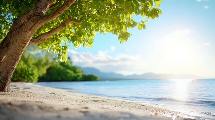 A tree is in front of a body of water