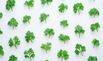 Vibrant Parsley Leaves on White: Minimalist Culinary Art for Healthy Living Campaigns. Fresh Herb Scatter Symbolizing Nutritious Vegetable Shopping and Seasonal Promotions. Elegant Botanical Design Te