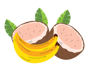 Sticker - tropical coconut and banana