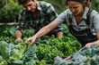 © zenith - Two people are tending to a garden of vegetables, including lettuce and cabbage
