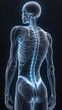 © Pawsitive Vibes - Xray of a human body Lumbar and back Pain and injury concept