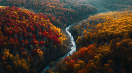 An aerial view of a forest during peak fall, a stunning mosaic of reds, oranges, yellows, and greens as the trees blend together. The view captures the rolling hills, valleys, and a river. 