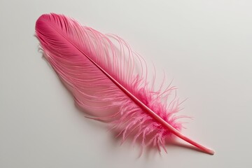 Wall Mural - Isolated Pink Feather on a Soft White Background