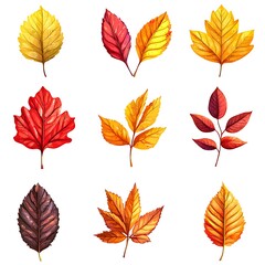 Wall Mural - A colorful collection of autumn leaves serves as perfect fall foliage design elements.