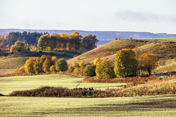 Sticker - Rolling landscape view at a landscape at the countryside in autumn colors