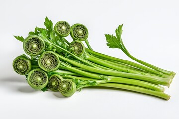 A bunch of fresh green fiddlehead ferns and celery on a white background.