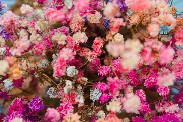 Multicolored gypsophila full screen as background