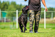 © Юлия Мальсагова - Man training a canecorso dog on the field. Training of a dog