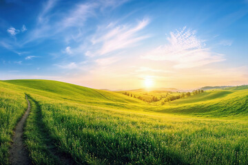 Poster - Warm sunlight with winding path through lush green hills as the sunset in the background