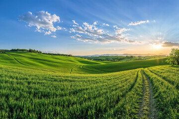 Poster - Sunset over rolling green hills with a dirt road leading into the distance countryside